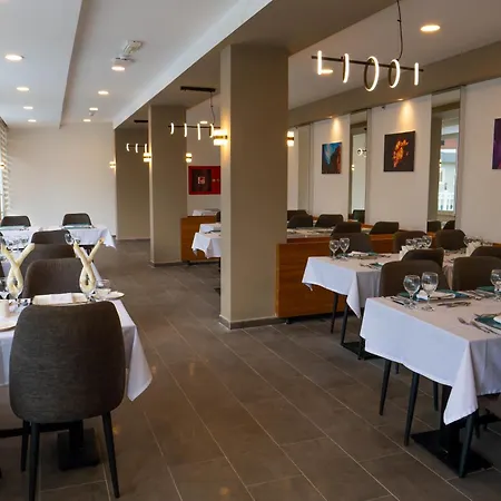 Viking Garden Hotel 4*