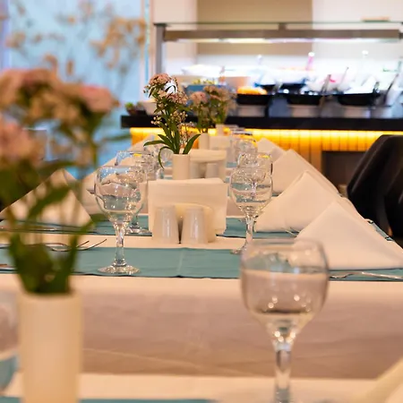 Viking Garden Hotel 4*