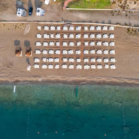 Viking Garden Hotel 4*
